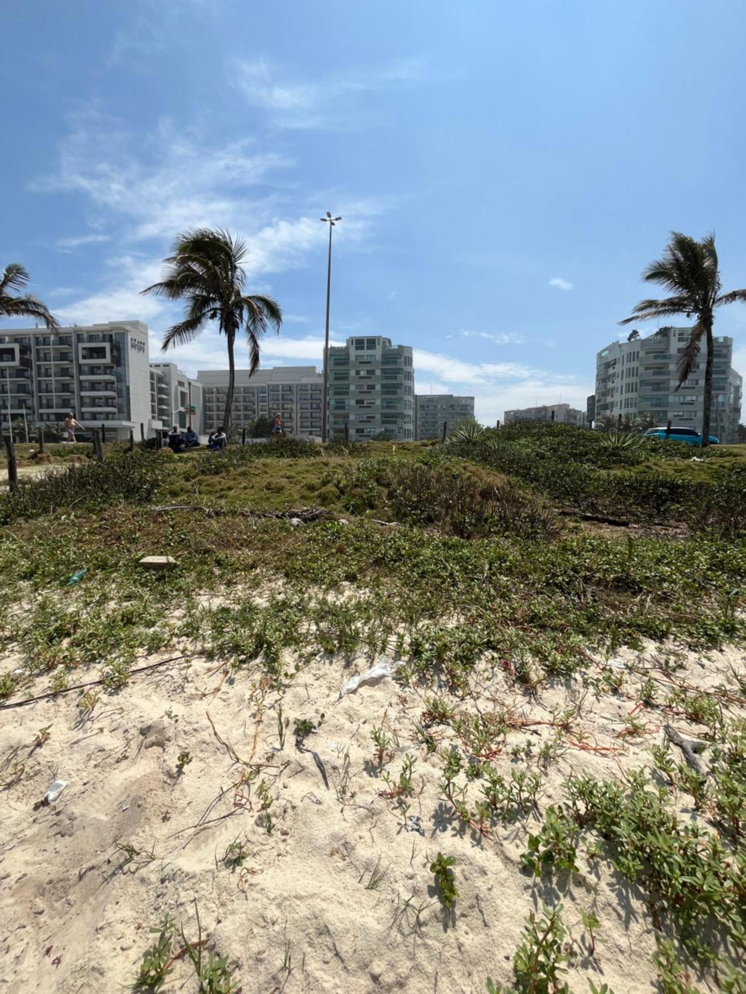 Decoracao Exclusiva Na Praia Com Piscina, Sauna, Academia E Estacionamento Rio de Janeiro Buitenkant foto
